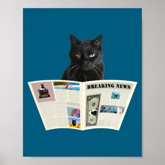 Newspaper Breaking News Black Cat Au Journal _1  Poster (Voorkant)