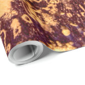 Newspaper Rock American Indian Utah Cadeaupapier (Rol Hoek)