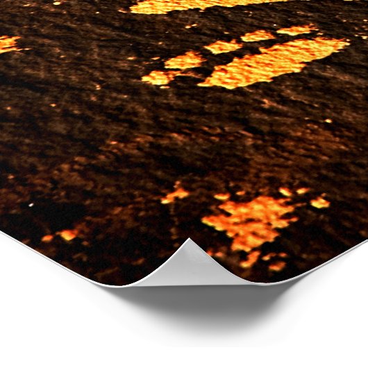 Newspaper Rock Art Poster (Hoek)