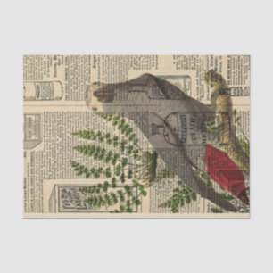  Newsprint Parrot Tissuepapier