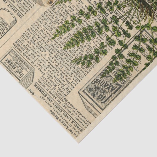  Newsprint Parrot Tissuepapier (Detail)