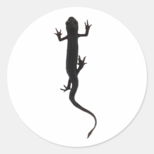 Newt amfibie creatuur silhouet ronde sticker