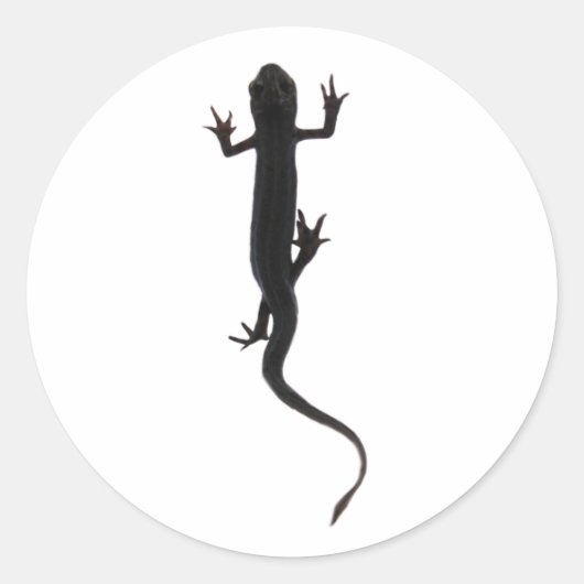 Newt amfibie creatuur silhouet ronde sticker (Voorkant)