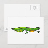 newt briefkaart (Voorkant / Achterkant)