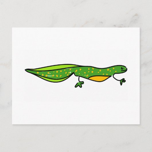 newt briefkaart (Voorkant)