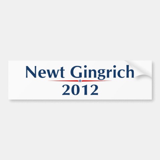 Newt Gingrich 2012 (v101) Bumpersticker (Voorkant)