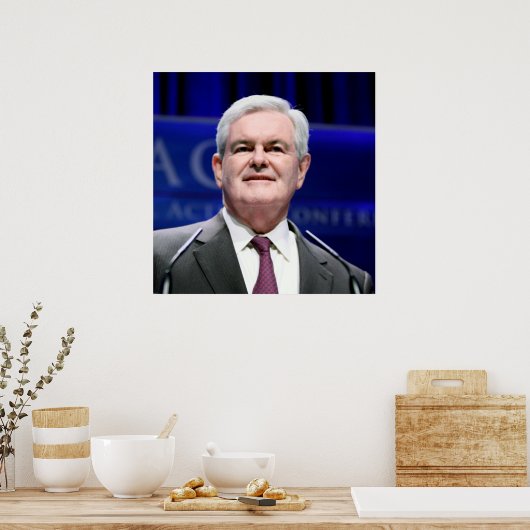 Newt Gingrich Poster (Keuken)