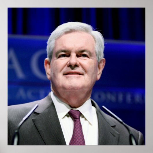 Newt Gingrich Poster (Voorkant)