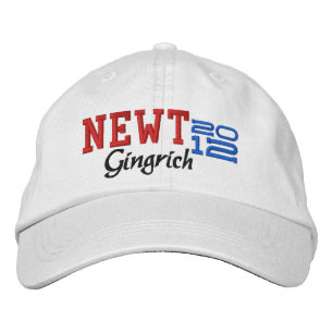 Newt Gingrich Twaalf 2012 Pet