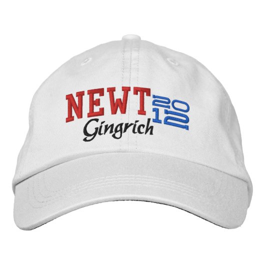 Newt Gingrich Twaalf 2012 Pet (Voorkant)