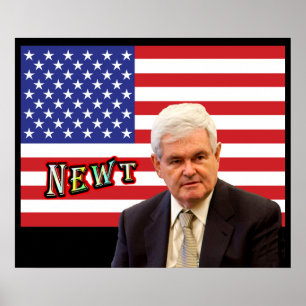 NEWT - Rood, Wit, Blauw Poster