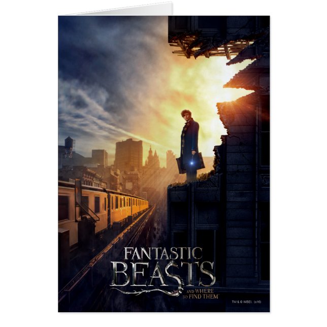 NEWT SCAMANDER™ in Destroyed Building (Voorkant)