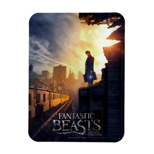 NEWT SCAMANDER™ in Destroyed Building Magneet (Verticaal)