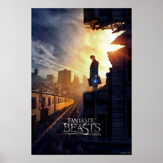 NEWT SCAMANDER™ in Destroyed Building Poster (Voorkant)