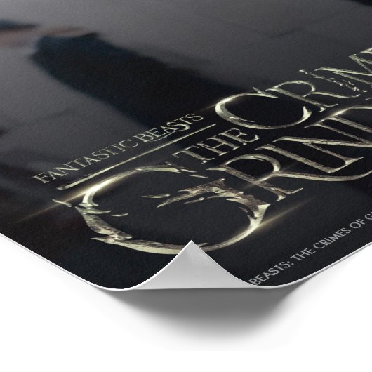 NEWT SCAMANDER™ in London Photo Poster (Hoek)