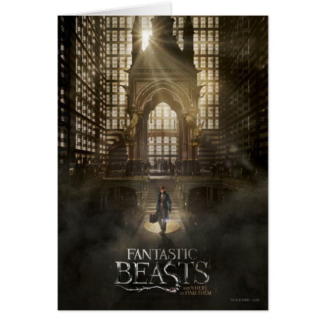 NEWT SCAMANDER™ in MACUSA™ Headquarters (Voorkant)