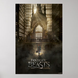 NEWT SCAMANDER™ in MACUSA™ Headquarters Poster