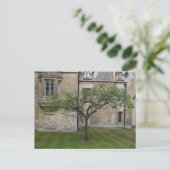Newton Apple Tree, Cambridge, Verenigd Koninkrijk Briefkaart (Staand voorkant)