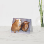 Newton en Skeeter Notecard Kaart (Voorkant)