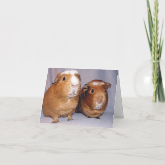 Newton en Skeeter Notecard Kaart (Voorkant)