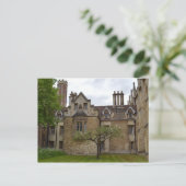 Newton's Apple Tree Cambridge Briefkaart (Staand voorkant)