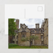 Newton's Apple Tree Cambridge Briefkaart (Voorkant / Achterkant)