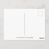 Newton's Cradle Briefkaart (Achterkant)