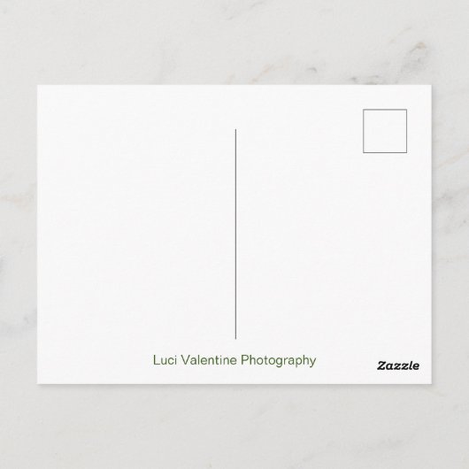 Newton's Cradle Briefkaart (Achterkant)