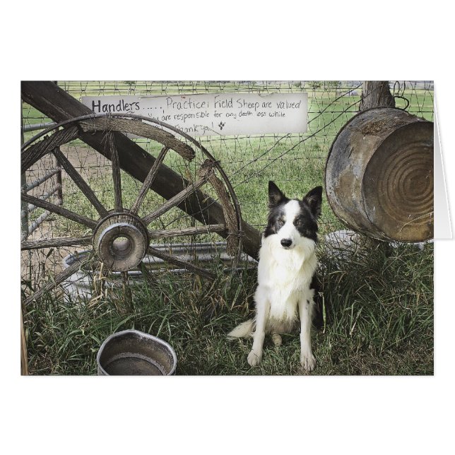 newtpraticefielddragonizer4x6 (Voorkant Horizontaal)