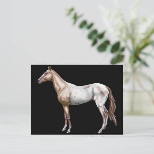 Nez Perce Horse Briefkaart (Staand voorkant)