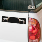 Nez Perce Horse Bumpersticker (Op Truck)