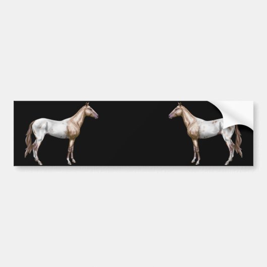 Nez Perce Horse Bumpersticker (Voorkant)