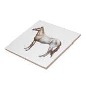 Nez Perce Horse Tegeltje (Zijkant)