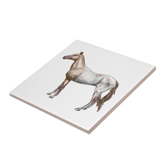 Nez Perce Horse Tegeltje (Zijkant)