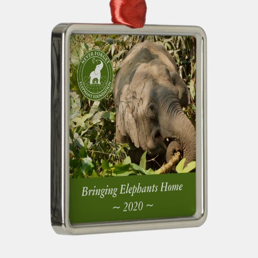 NFEF Square Ornament (Rechts)