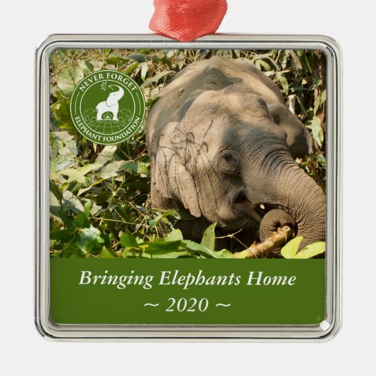 NFEF Square Ornament (Voorkant)