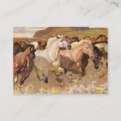 NFP WILD MUSTANG HORSES CONTACT VISITEKAARTJE (Achterkant)