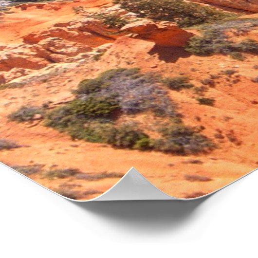 NG Crow Poster (Hoek)