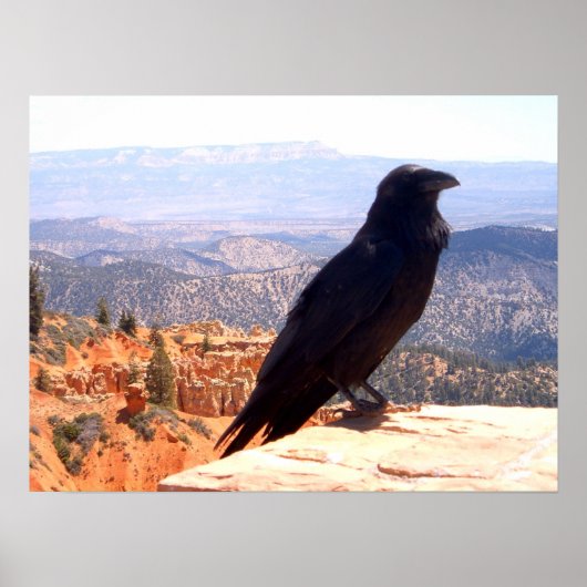 NG Crow Poster (Voorkant)