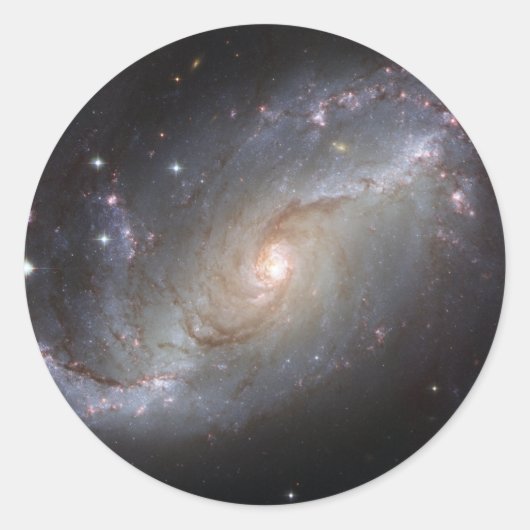 NGC 1672 Spiral Galaxy Ronde Sticker (Voorkant)