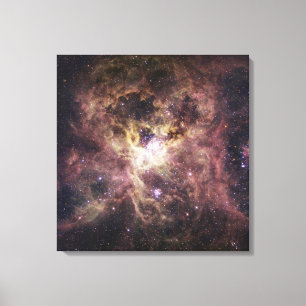 NGC 2070, de Tarantula Nebula Canvas Afdruk