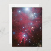 NGC 2264 en de cluster van de Kerstboom Feestdagenkaart (Voorkant / Achterkant)