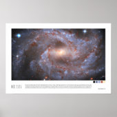 NGC 2525 (Hubble Space Telescope) Poster (Voorkant)