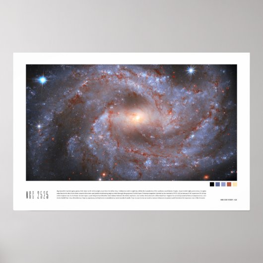 NGC 2525 (Hubble Space Telescope) Poster (Voorkant)