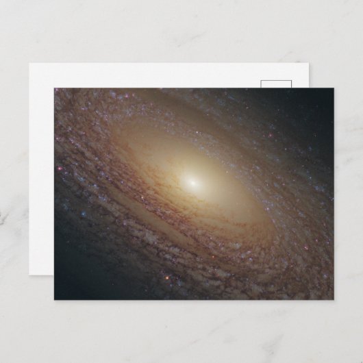 NGC 2841 BRIEFKAART (Voorkant / Achterkant)