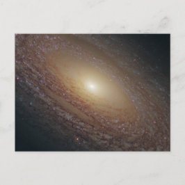 NGC 2841 BRIEFKAART