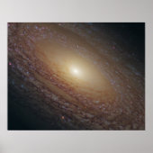 NGC 2841 Spiral Galaxy Poster (Voorkant)