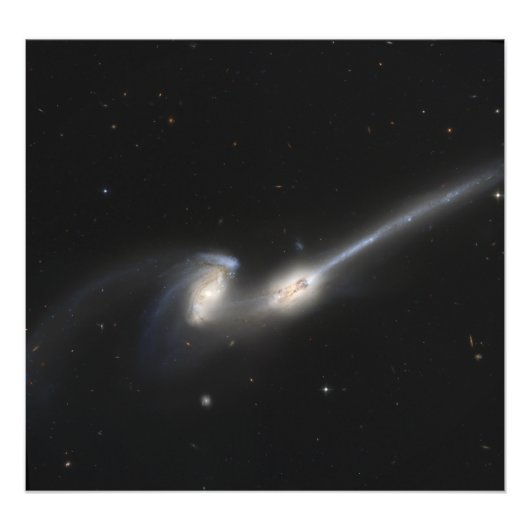 NGC 4676, ook bekend als de Mice Galaxies Foto Afdruk (Voorkant)