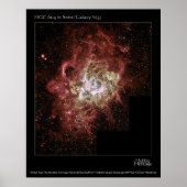 NGC 604 POSTER (Voorkant)