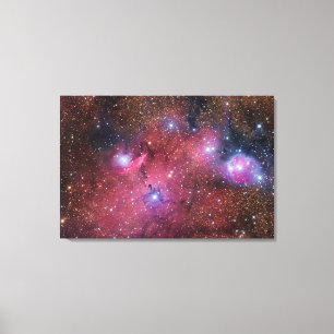 NGC 6559 Nebula in Sagittarius Canvas Afdruk